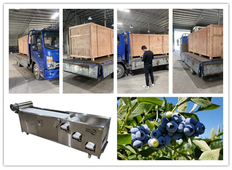 images/1652861725392blueberry grading equipment.jpg